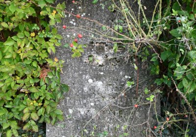 Malešov, Omnium, 2020