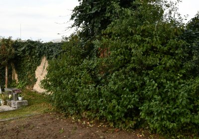 Malešov, Omnium, 2020