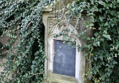 Malešov, Omnium, 2020