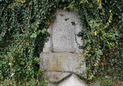 Malešov, Omnium, 2020