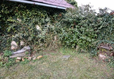 Malešov, Omnium, 2020