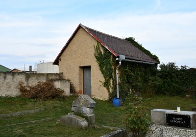 Malešov, Omnium, 2020