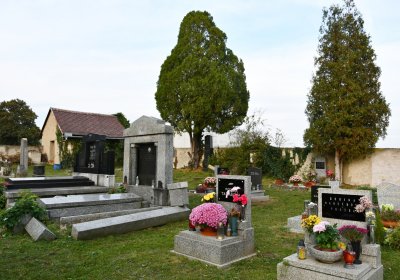 Malešov, Omnium, 2020