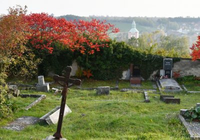 Hoštka, Omnium, 2020