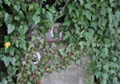 Hoštka, Omnium, 2020