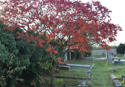 Hoštka, Omnium, 2020