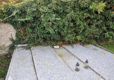 Hoštka, Omnium, 2020