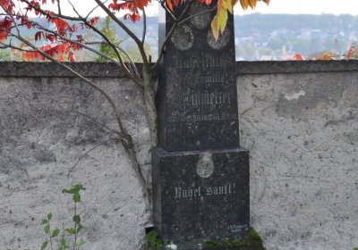 Hoštka, Omnium, 2020