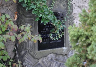 Hoštka, Omnium, 2020