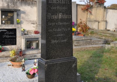 Hoštka, Omnium, 2020