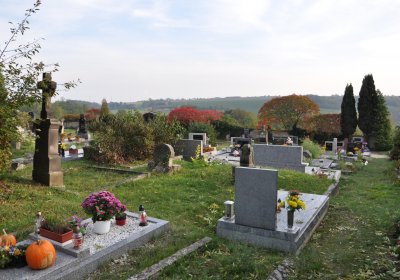 Hoštka, Omnium, 2020