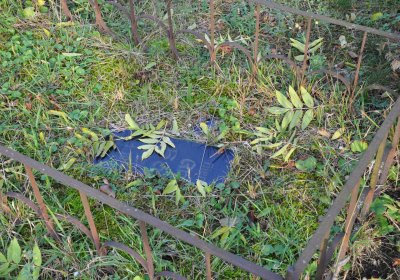 Hoštka, Omnium, 2020