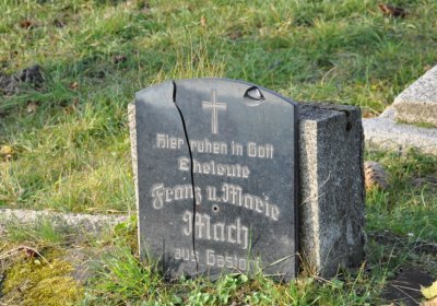 Hoštka, Omnium, 2020