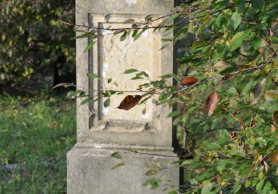 Hoštka, Omnium, 2020