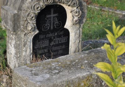 Hoštka, Omnium, 2020