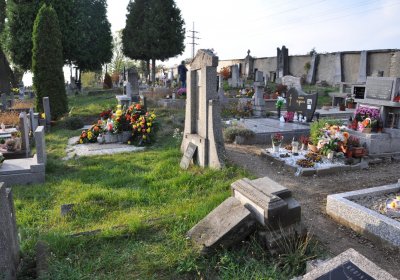 Hoštka, Omnium, 2020