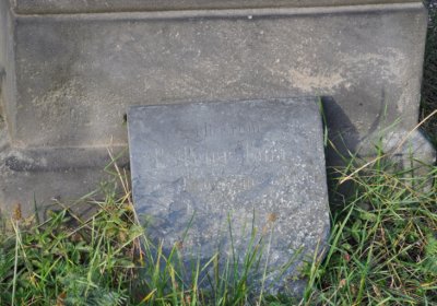 Hoštka, Omnium, 2020