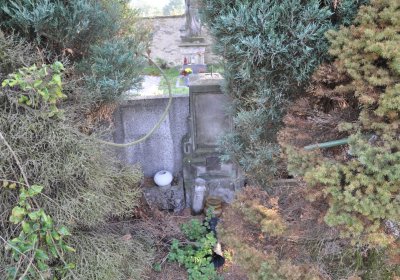 Hoštka, Omnium, 2020