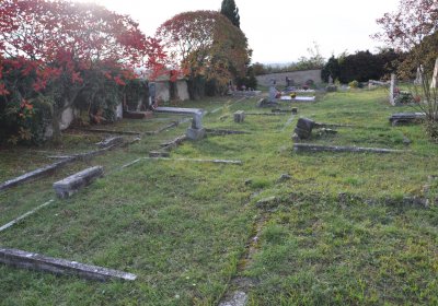 Hoštka, Omnium, 2020