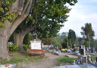 Hoštka, Omnium, 2020