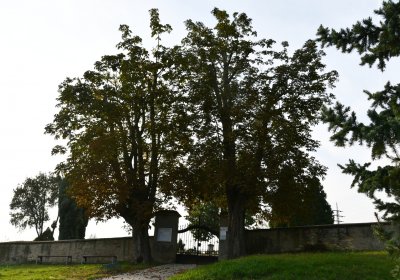 Hoštka, Omnium, 2020