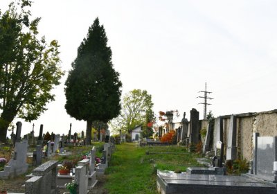 Hoštka, Omnium, 2020