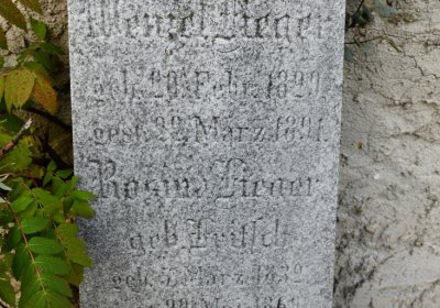 Hoštka, Omnium, 2020