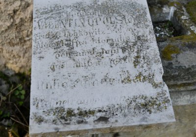 Hoštka, Omnium, 2020