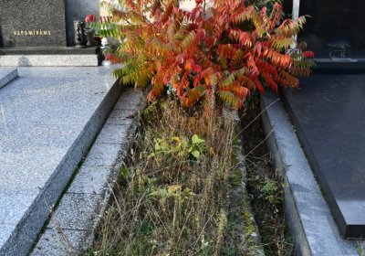 Hoštka, Omnium, 2020