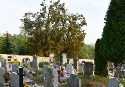 Hoštka, Omnium, 2020