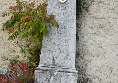 Hoštka, Omnium, 2020