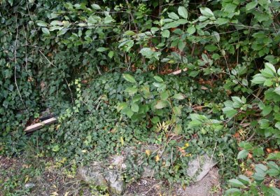 Hoštka, Omnium, 2020