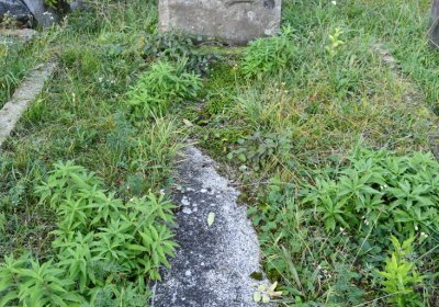 Hoštka, Omnium, 2020