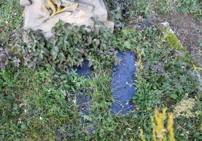 Hoštka, Omnium, 2020