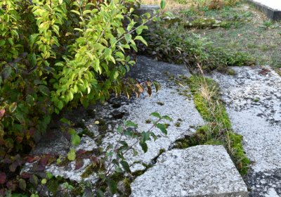 Hoštka, Omnium, 2020