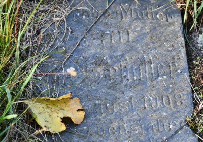 Hoštka, Omnium, 2020