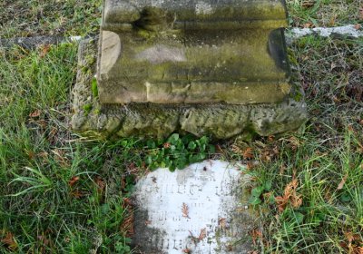 Hoštka, Omnium, 2020