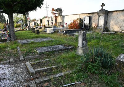 Hoštka, Omnium, 2020