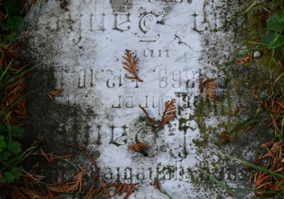 Hoštka, Omnium, 2020