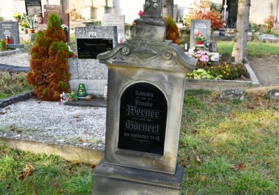 Hoštka, Omnium, 2020