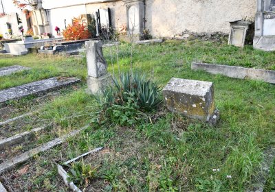 Hoštka, Omnium, 2020