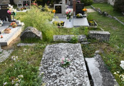 Hoštka, Omnium, 2020