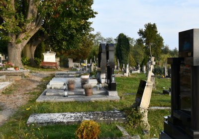 Hoštka, Omnium, 2020