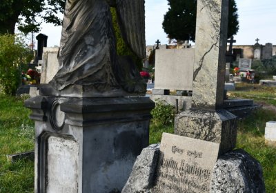 Hoštka, Omnium, 2020