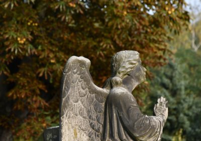 Hoštka, Omnium, 2020