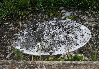 Hoštka, Omnium, 2020