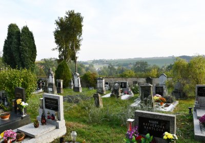 Hoštka, Omnium, 2020