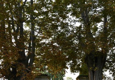 Hoštka, Omnium, 2020