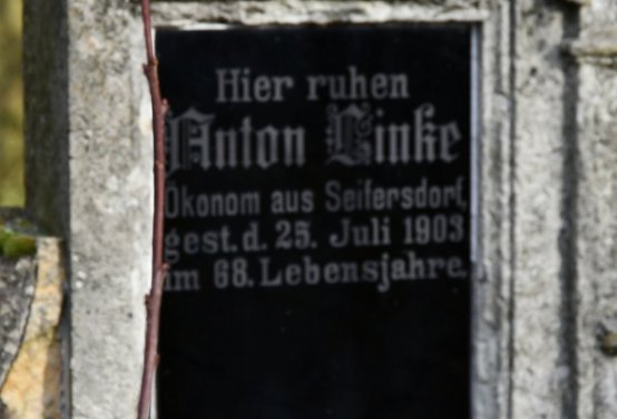 O.N., 2021