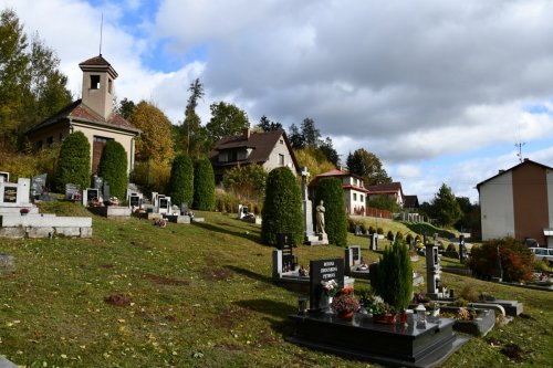 Nedvězí